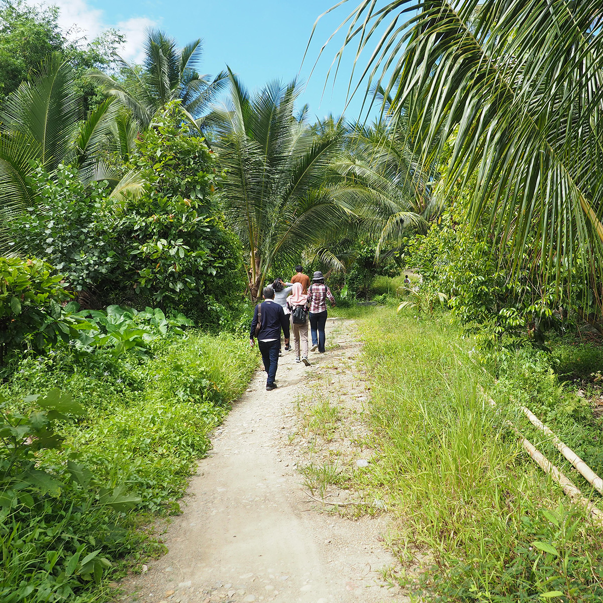 Piloting Implementation of Child Protection Manual at Palm Oil Plantations in Indonesia